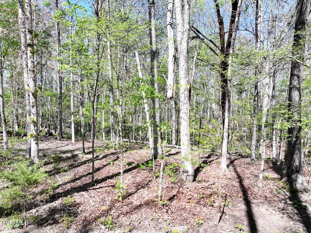 1540 Luther Memorial Road, Parrottsville, TN 37843