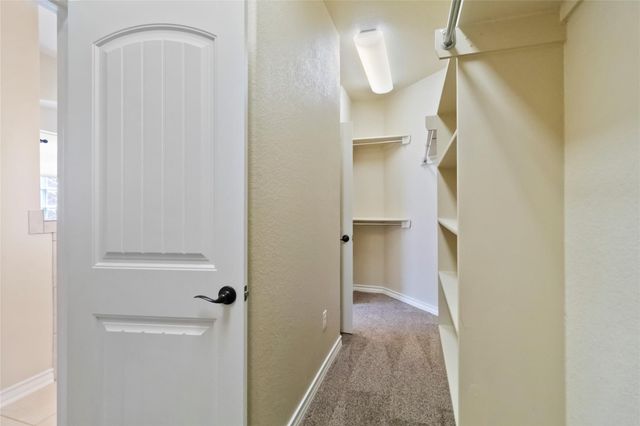 3621 Cinkapin DR, San Marcos, TX 78666