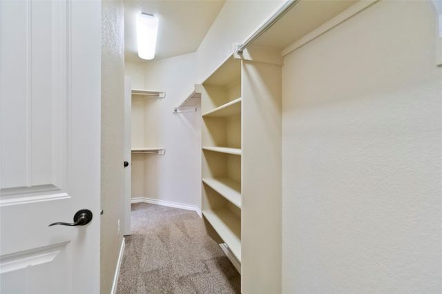 3621 Cinkapin DR, San Marcos, TX 78666