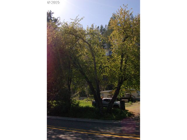 49545 MCKENZIE Hwy, Vida, OR 97488