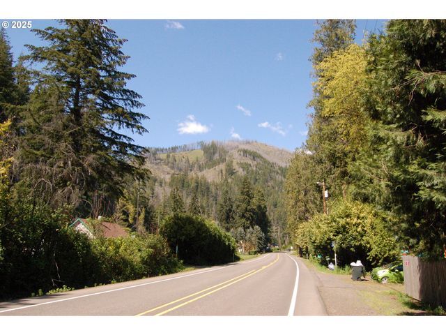49545 MCKENZIE Hwy, Vida, OR 97488