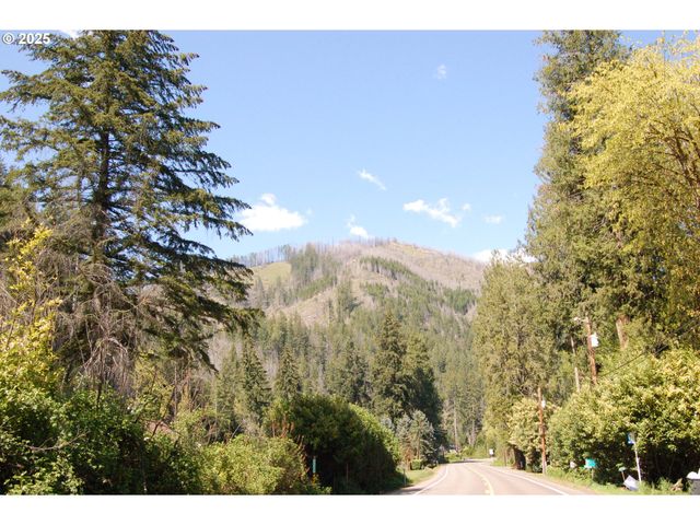 49545 MCKENZIE Hwy, Vida, OR 97488