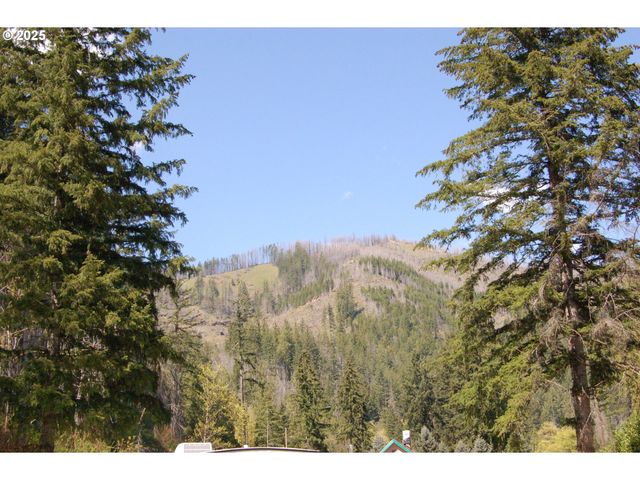 49545 MCKENZIE Hwy, Vida, OR 97488