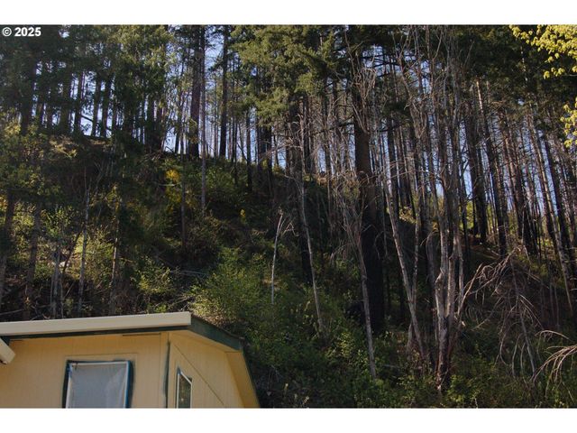 49545 MCKENZIE Hwy, Vida, OR 97488