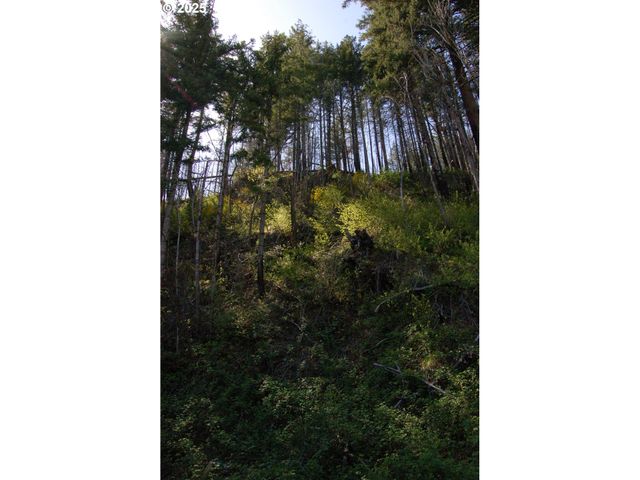 49545 MCKENZIE Hwy, Vida, OR 97488