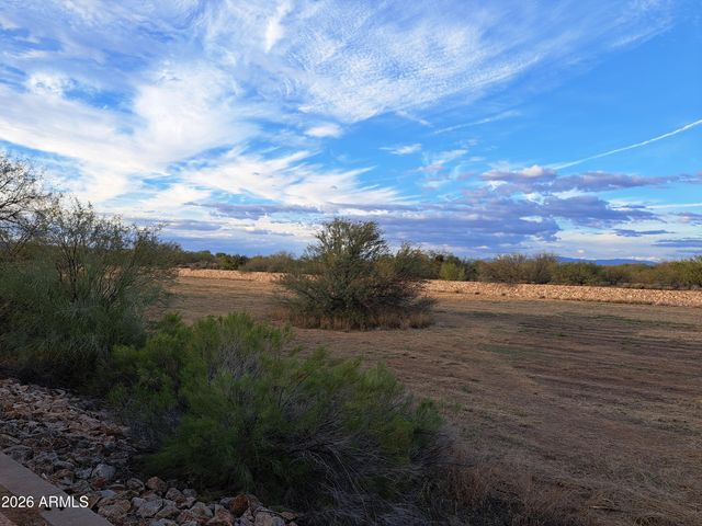 1111 E MADERA GROVE Lane, Sahuarita, AZ 85629