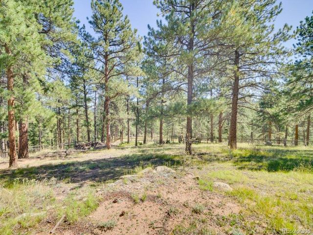 29203 Lee Rd, Evergreen, CO 80439