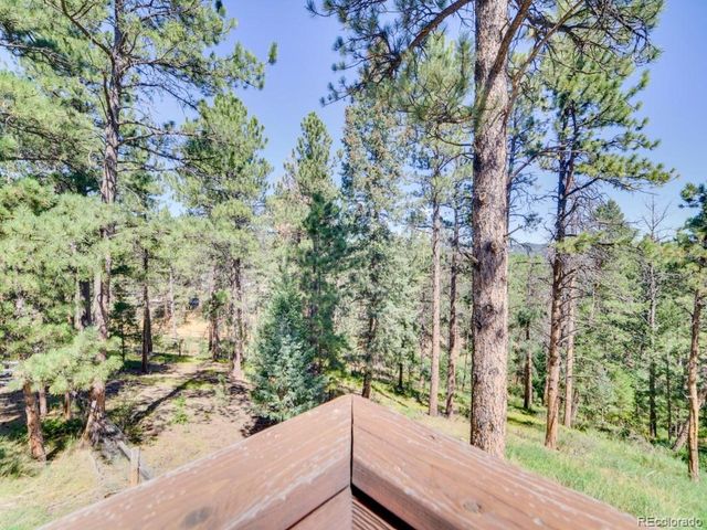 29203 Lee Rd, Evergreen, CO 80439