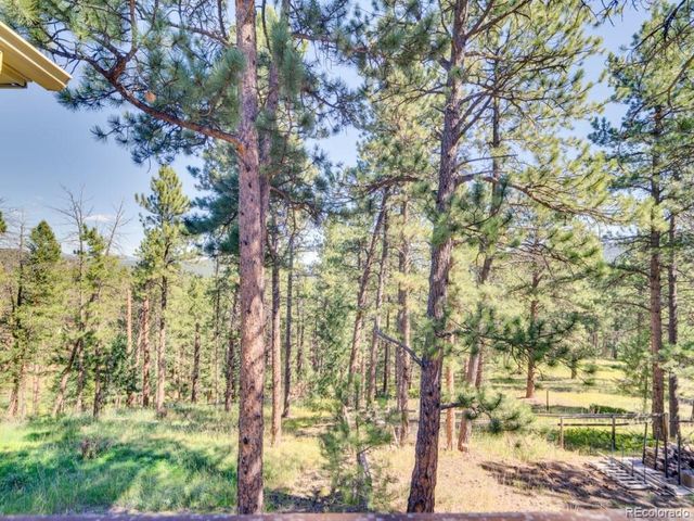 29203 Lee Rd, Evergreen, CO 80439