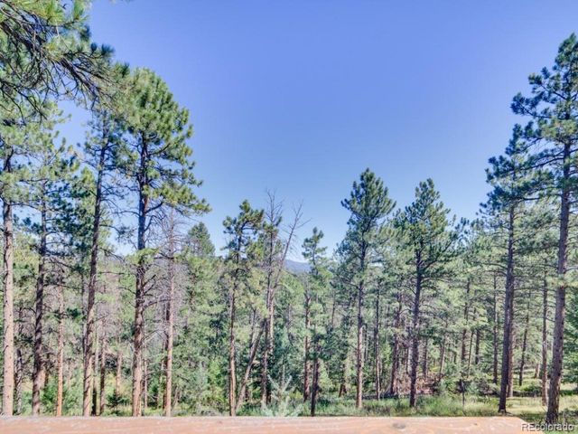 29203 Lee Rd, Evergreen, CO 80439