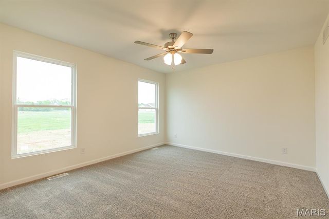 207 Wrigley Field Drive, Bethalto, IL 62010