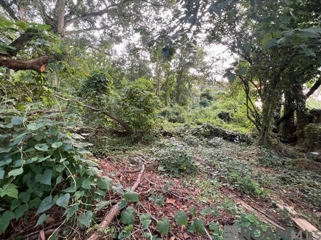 1053 Green Oak Dr, Baton Rouge, LA 70815