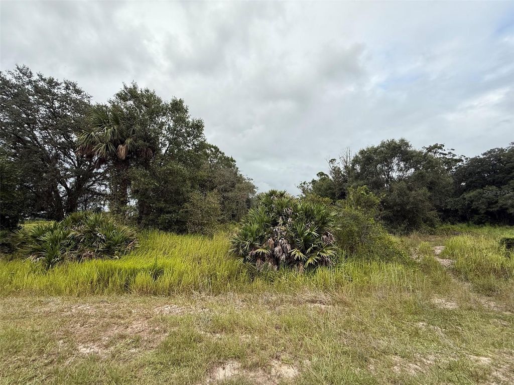Image 1 of property listing at 18417 NW 254TH STREET, Okeechobee, FL 34972