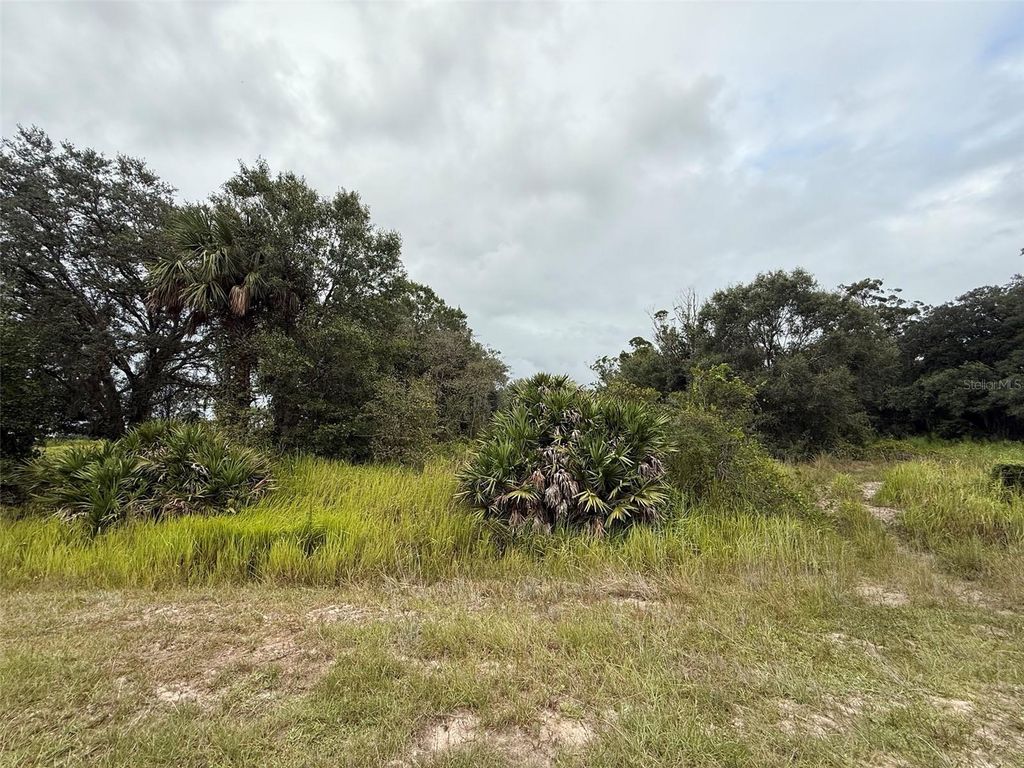 Image 2 of property listing at 18417 NW 254TH STREET, Okeechobee, FL 34972