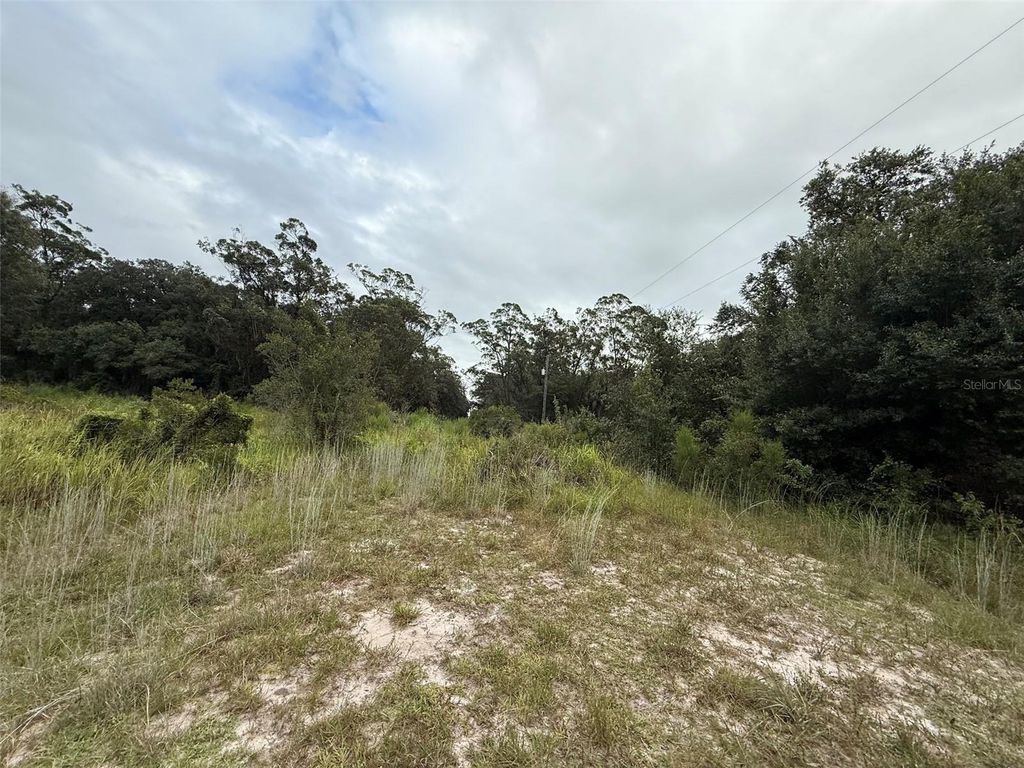 Image 4 of property listing at 18417 NW 254TH STREET, Okeechobee, FL 34972
