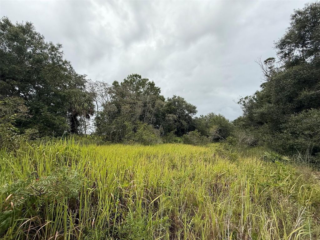 Image 5 of property listing at 18417 NW 254TH STREET, Okeechobee, FL 34972