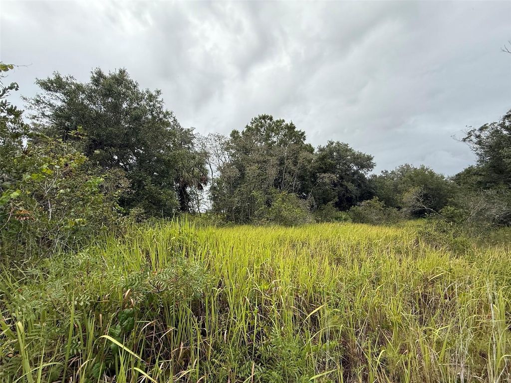 Image 6 of property listing at 18417 NW 254TH STREET, Okeechobee, FL 34972