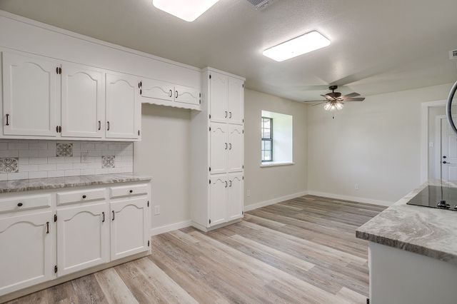 1009 Abbie Lane, Glen Rose, TX 76043