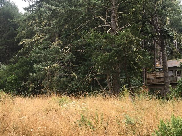 1002 Spring Road, Shelter Cove, CA 95589