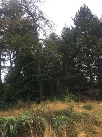 1002 Spring Road, Shelter Cove, CA 95589