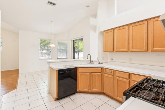 18108 KENNESAW COURT, Tampa, FL 33647