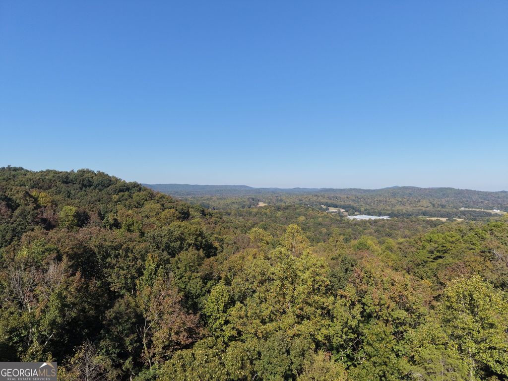 52 AC Soapstone Road, Baldwin, GA 30511 — exterior