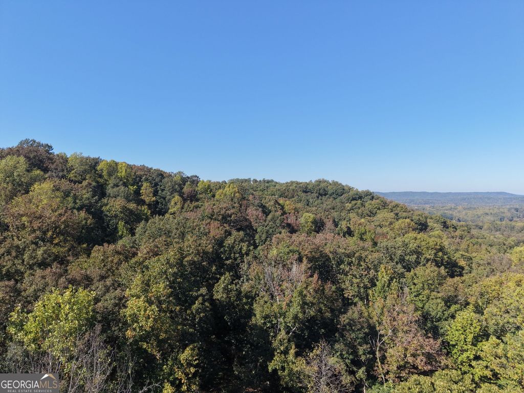 52 AC Soapstone Road, Baldwin, GA 30511 — photo 2