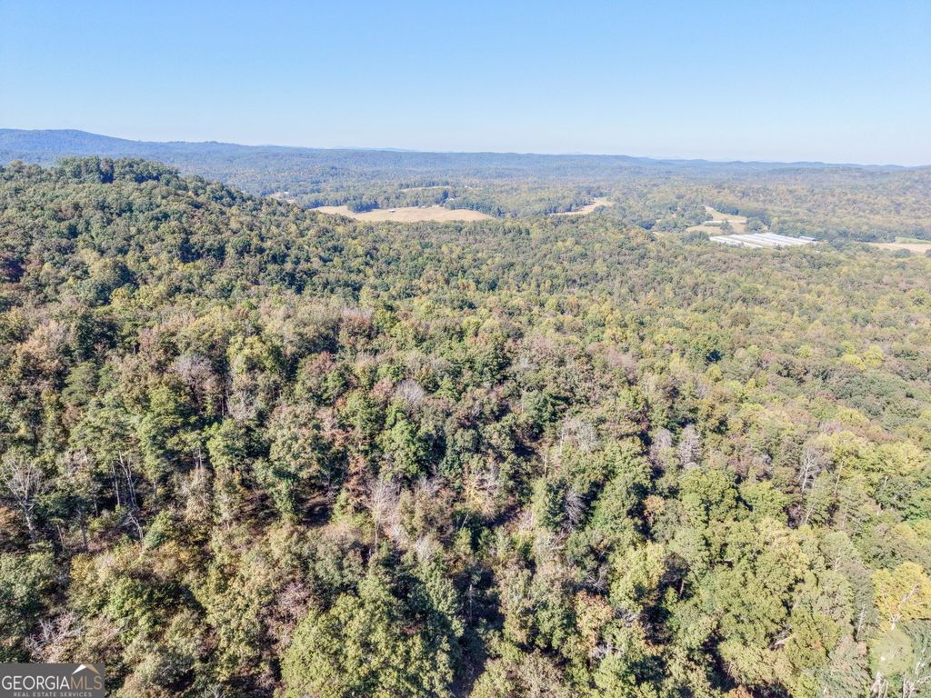 52 AC Soapstone Road, Baldwin, GA 30511 — photo 3