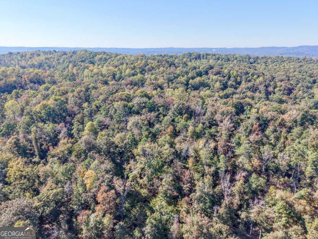 52 AC Soapstone Road, Baldwin, GA 30511 — photo 4