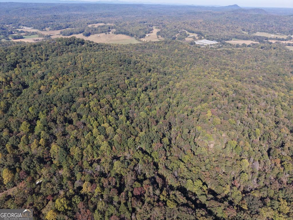 52 AC Soapstone Road, Baldwin, GA 30511 — photo 5