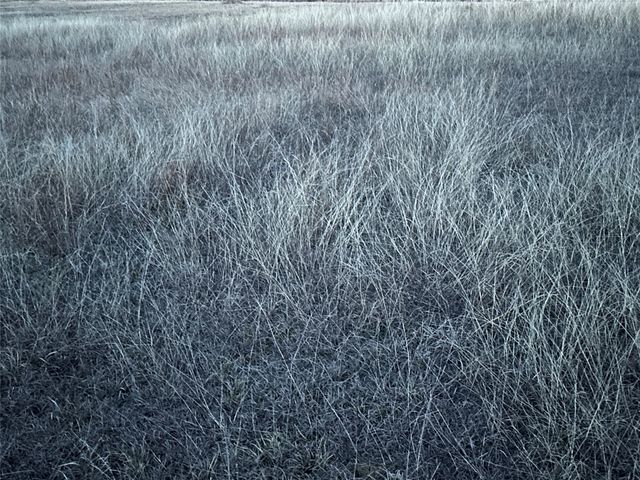 Lot 26 County Road 26050, Roxton, TX 75415