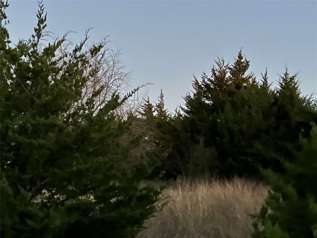 Lot 26 County Road 26050, Roxton, TX 75415