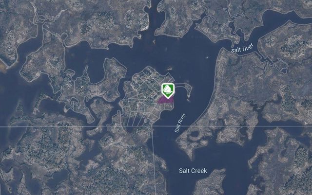 6 CARNAHANS ISLAND, Crystal River, FL 34429