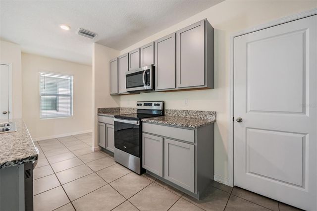 16005 WEATHERED WINDMILL TERRACE, Odessa, FL 33556