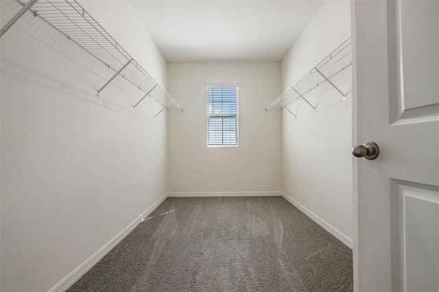 16005 WEATHERED WINDMILL TERRACE, Odessa, FL 33556