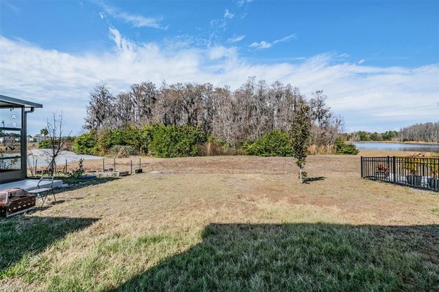 16005 WEATHERED WINDMILL TERRACE, Odessa, FL 33556