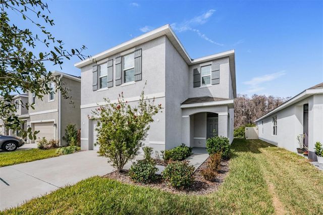 16005 WEATHERED WINDMILL TERRACE, Odessa, FL 33556