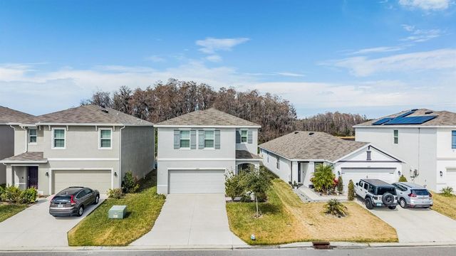 16005 WEATHERED WINDMILL TERRACE, Odessa, FL 33556