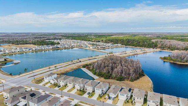 16005 WEATHERED WINDMILL TERRACE, Odessa, FL 33556