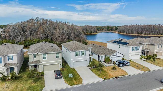 16005 WEATHERED WINDMILL TERRACE, Odessa, FL 33556