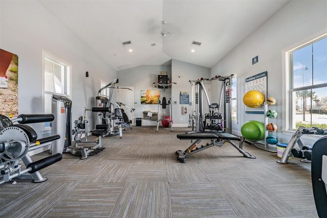 16005 WEATHERED WINDMILL TERRACE, Odessa, FL 33556