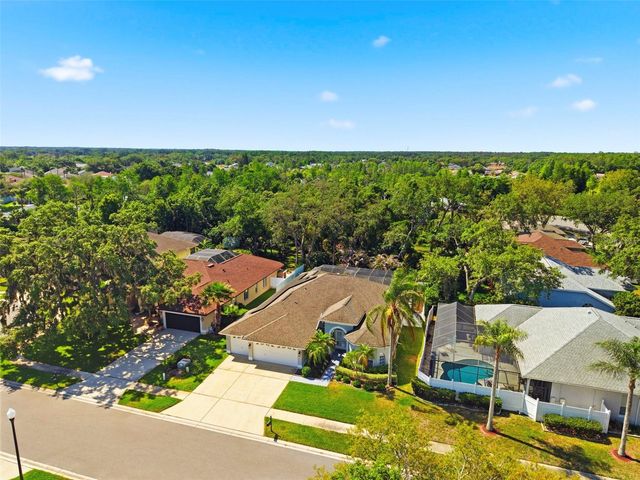 8530 ORSI COURT, Trinity, FL 34655