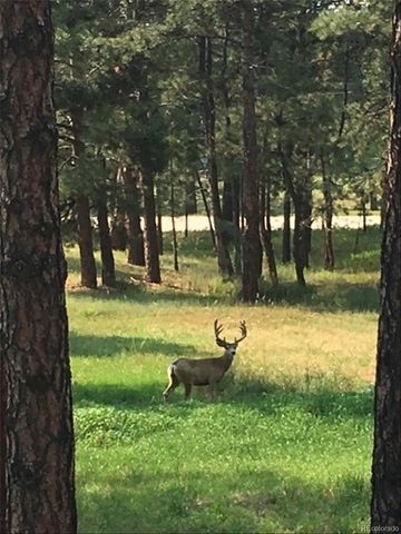 5030 Cedar Way, Elizabeth, CO 80107
