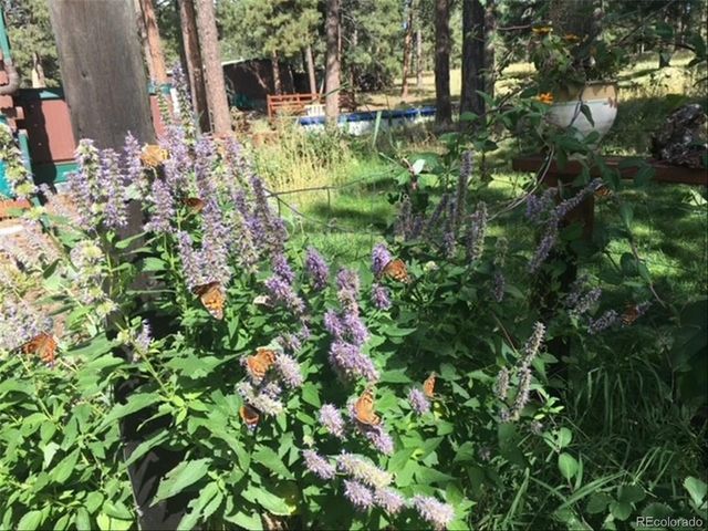 5030 Cedar Way, Elizabeth, CO 80107