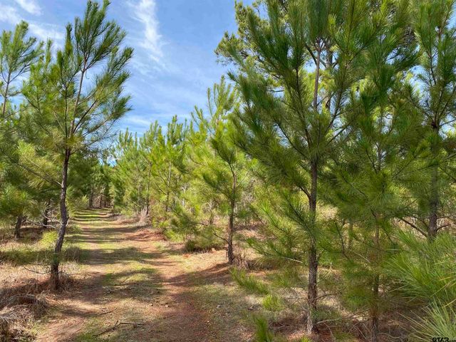 782 Rosie Wady Rd, Gladewater, TX 75647