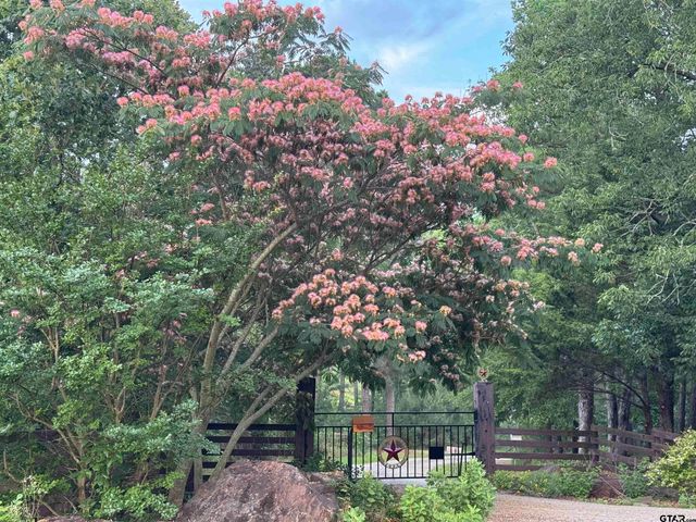 782 Rosie Wady Rd, Gladewater, TX 75647