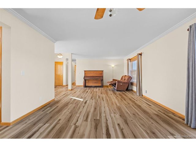 1211 Meadow Dr, Fairplay, CO 80440