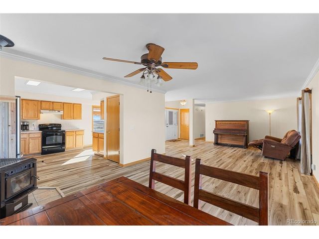 1211 Meadow Dr, Fairplay, CO 80440