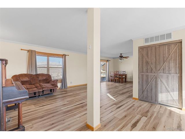 1211 Meadow Dr, Fairplay, CO 80440