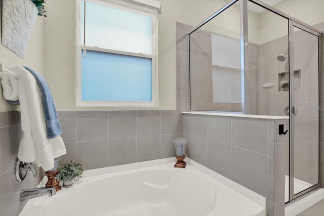 10186 SHORELINE VIEW WAY, Wesley Chapel, FL 33545